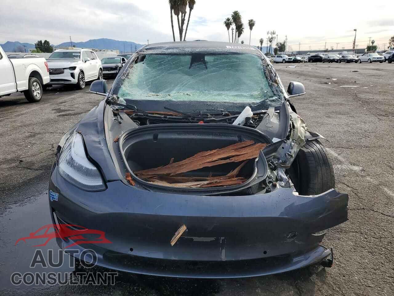 TESLA MODEL 3 2020 - 5YJ3E1EA1LF704915