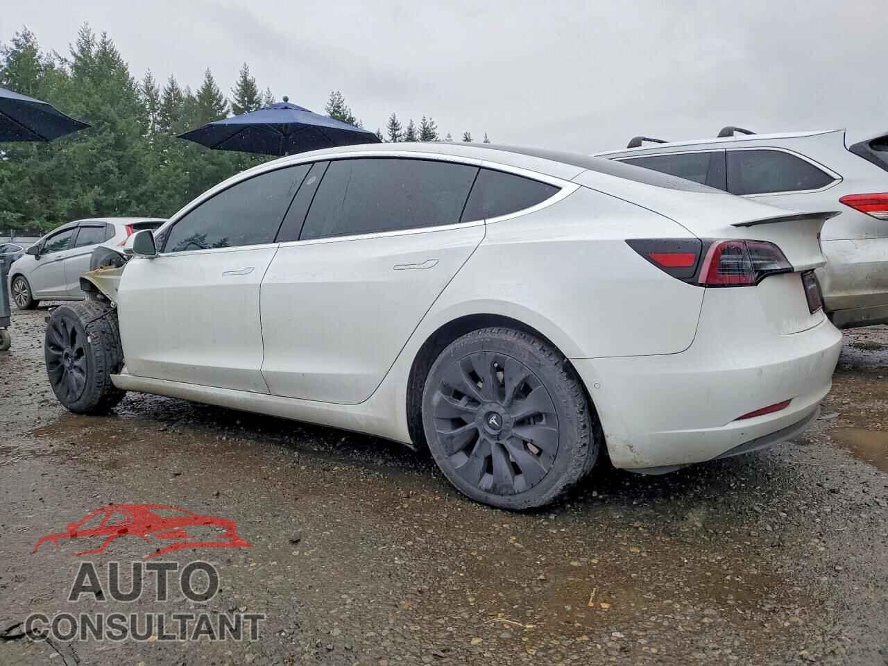 TESLA MODEL 3 2019 - 5YJ3E1EA0KF430749