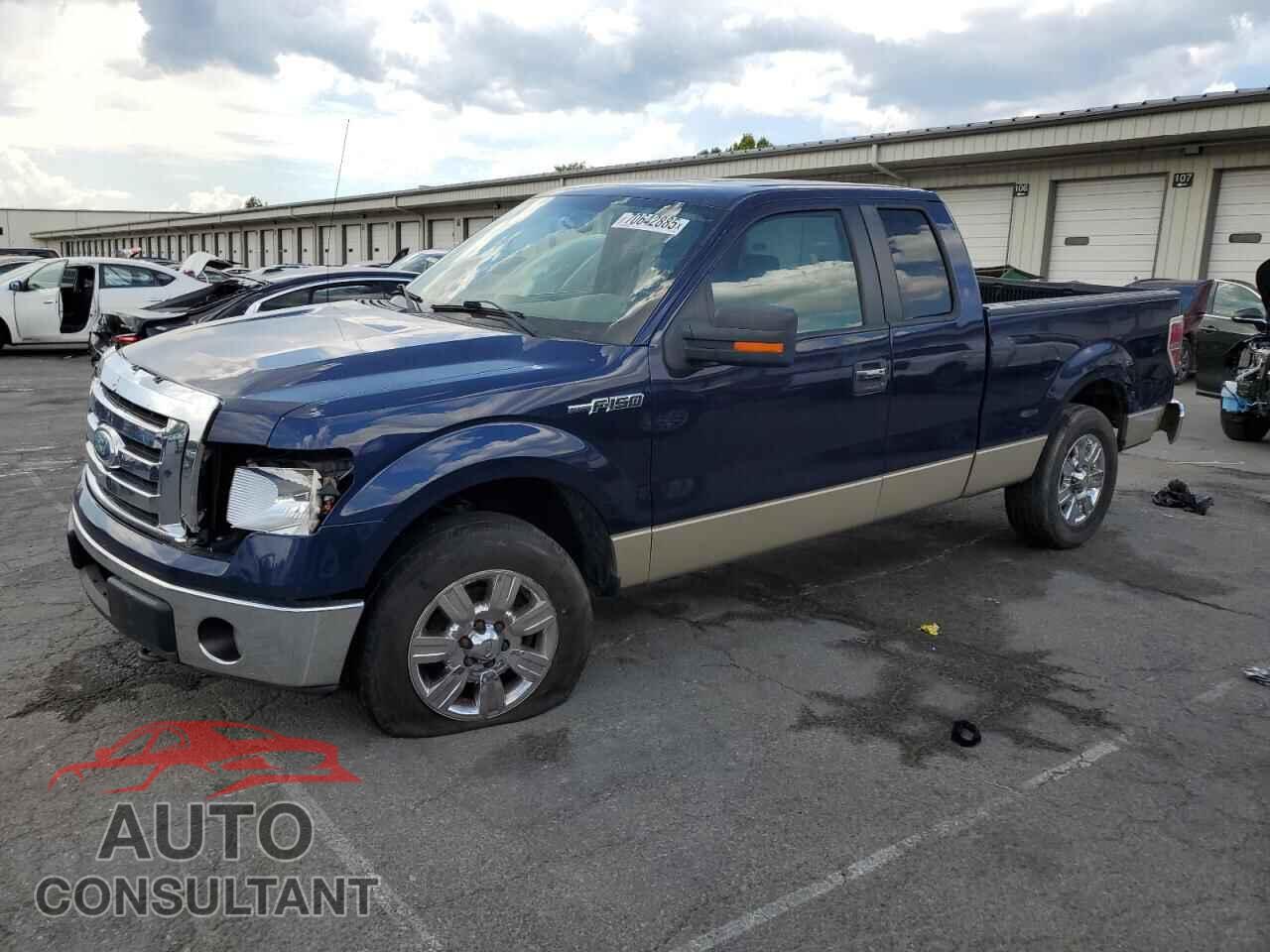 FORD F-150 2009 - 1FTRX12V39FA80079