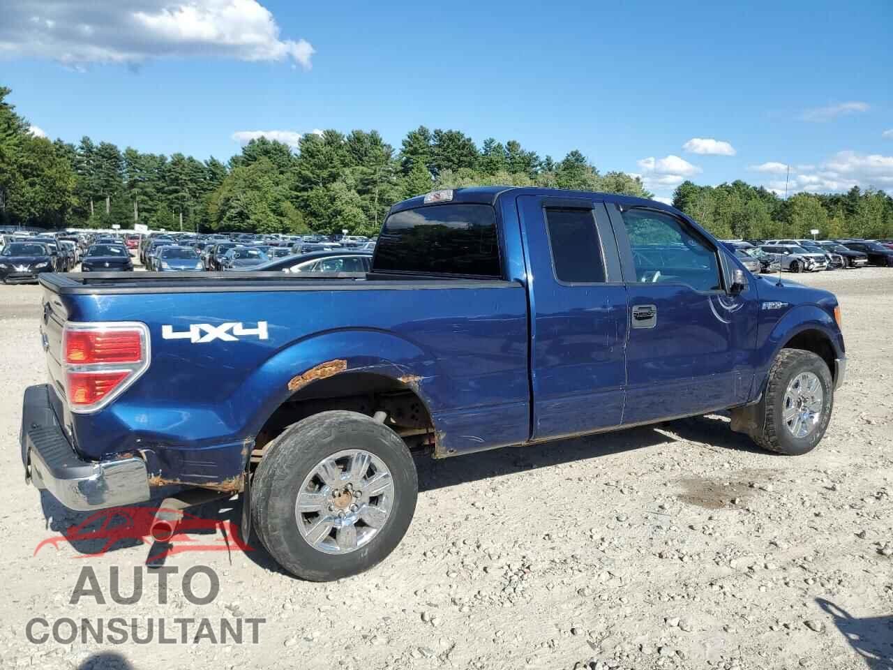 FORD F-150 2012 - 1FTFX1EF4CFB90198