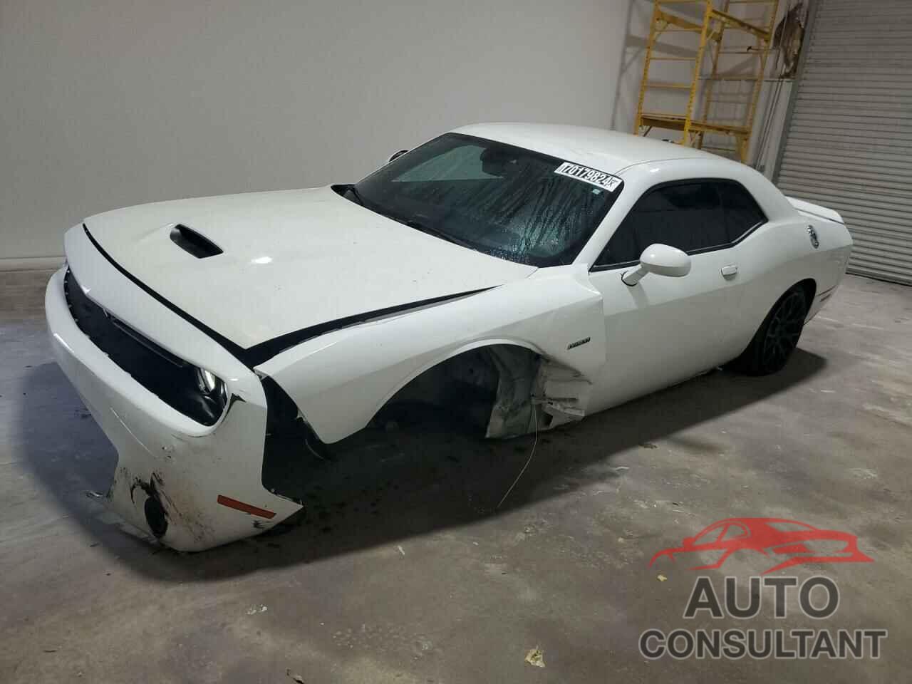 DODGE CHALLENGER 2019 - 2C3CDZBT2KH531507