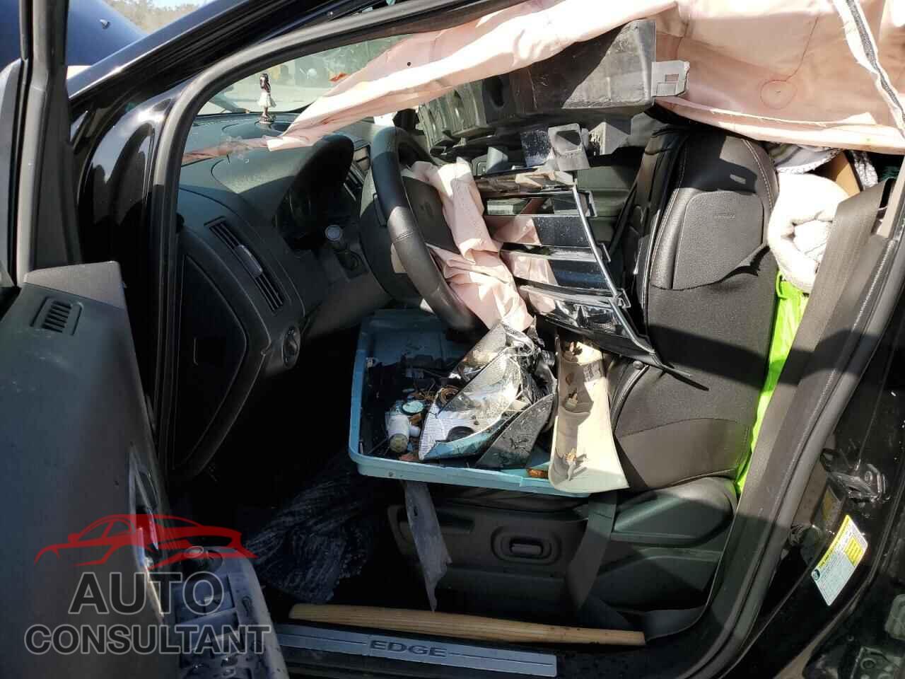 FORD EDGE 2009 - 2FMDK30C09BB02851