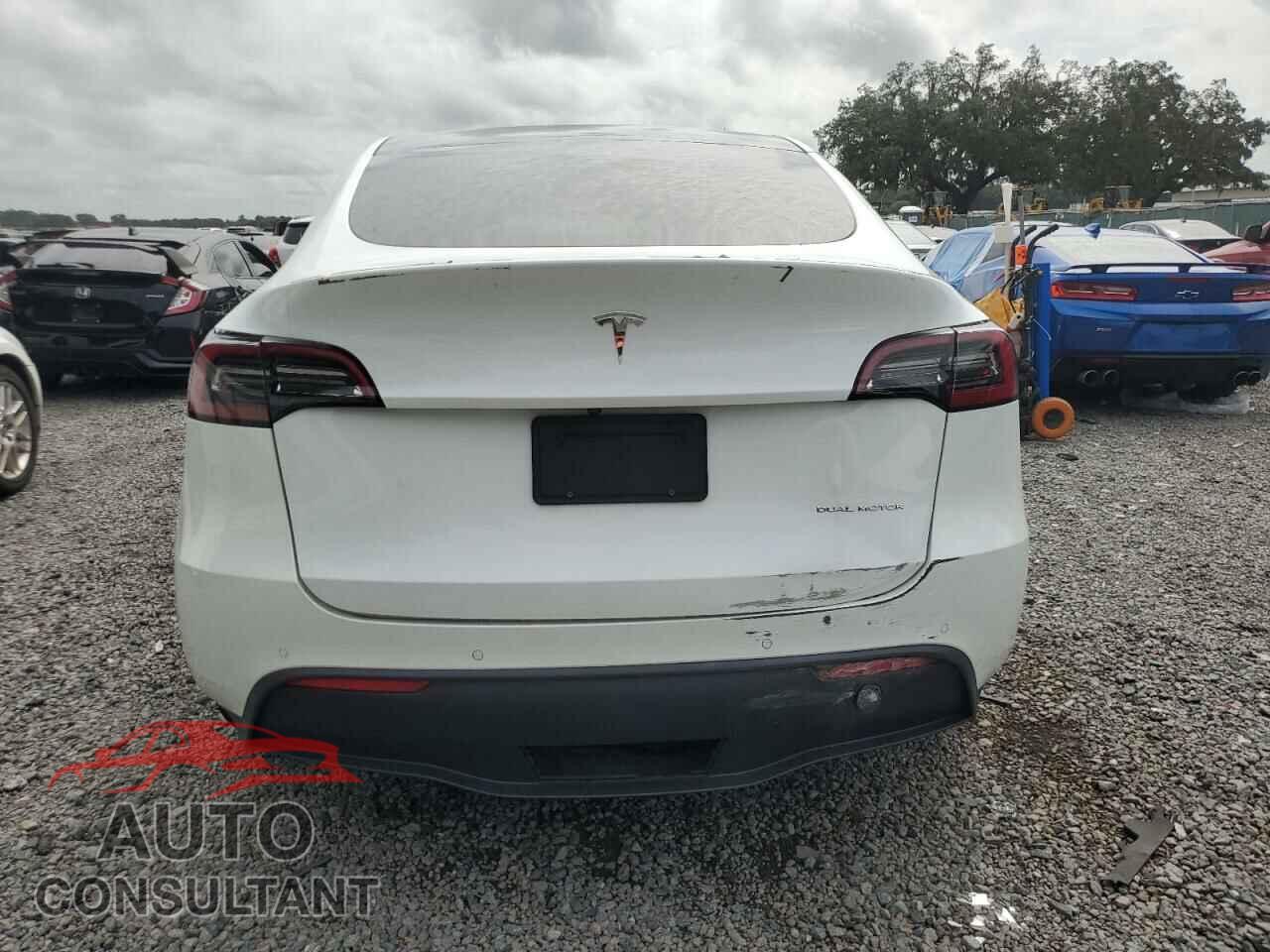 TESLA MODEL Y 2021 - 5YJYGAEE4MF250857