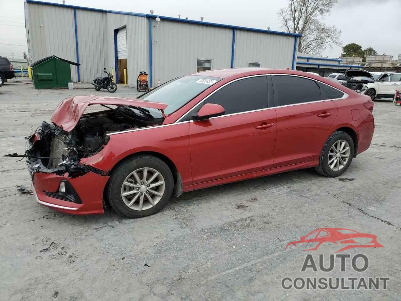 HYUNDAI SONATA 2019 - 5NPE24AFXKH804502