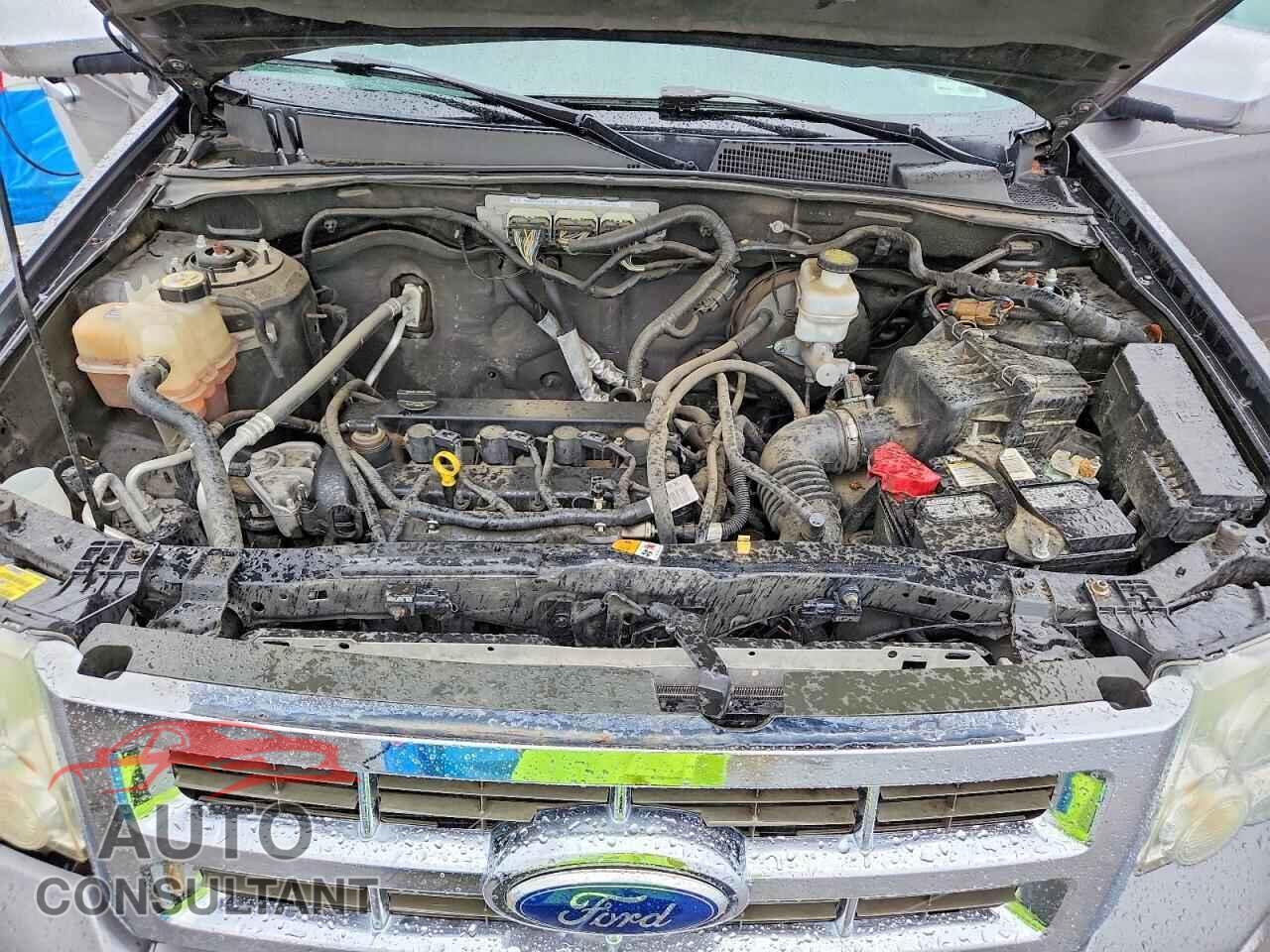 FORD ESCAPE 2011 - 1FMCU0D71BKC08884