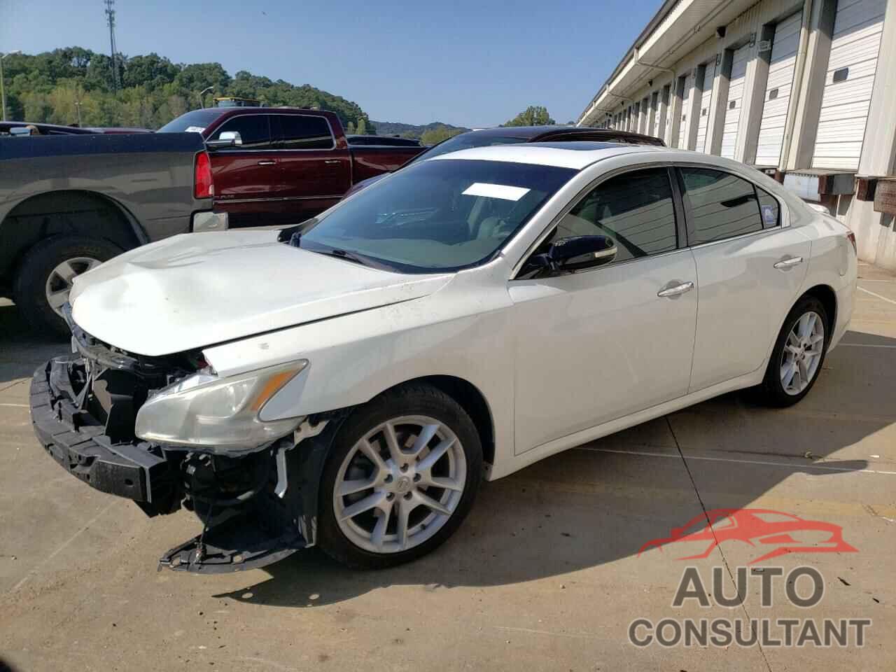 NISSAN MAXIMA 2009 - 1N4AA51E99C828011