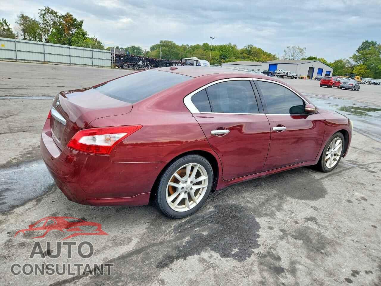 NISSAN MAXIMA 2011 - 1N4AA5AP7BC843016