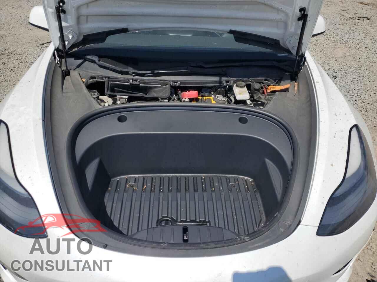 TESLA MODEL 3 2021 - 5YJ3E1EA8MF072108
