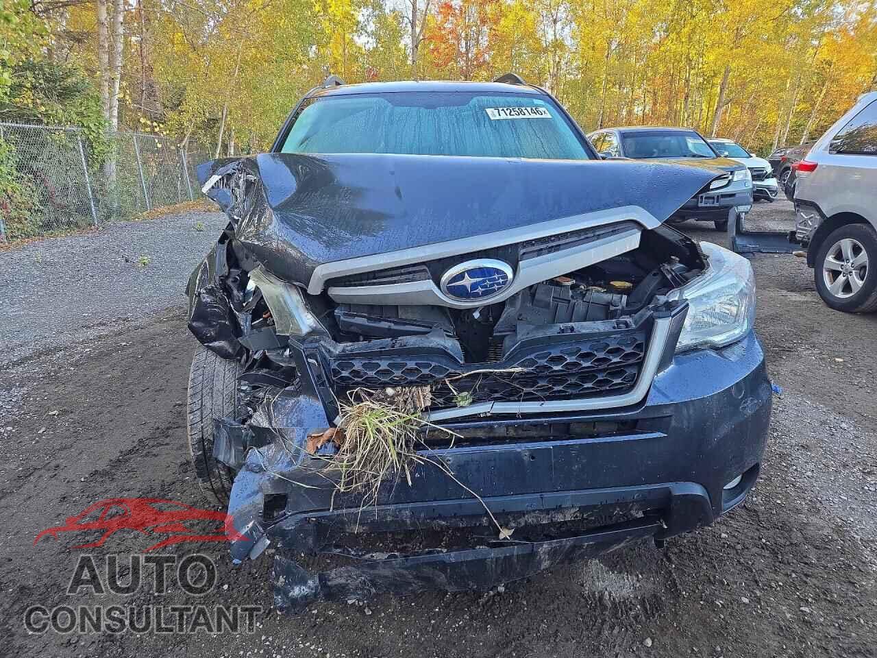 SUBARU FORESTER 2016 - JF2SJCCC3GH528237