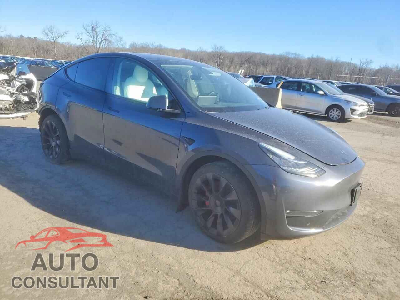 TESLA MODEL Y 2023 - 7SAYGDEE9PF610620