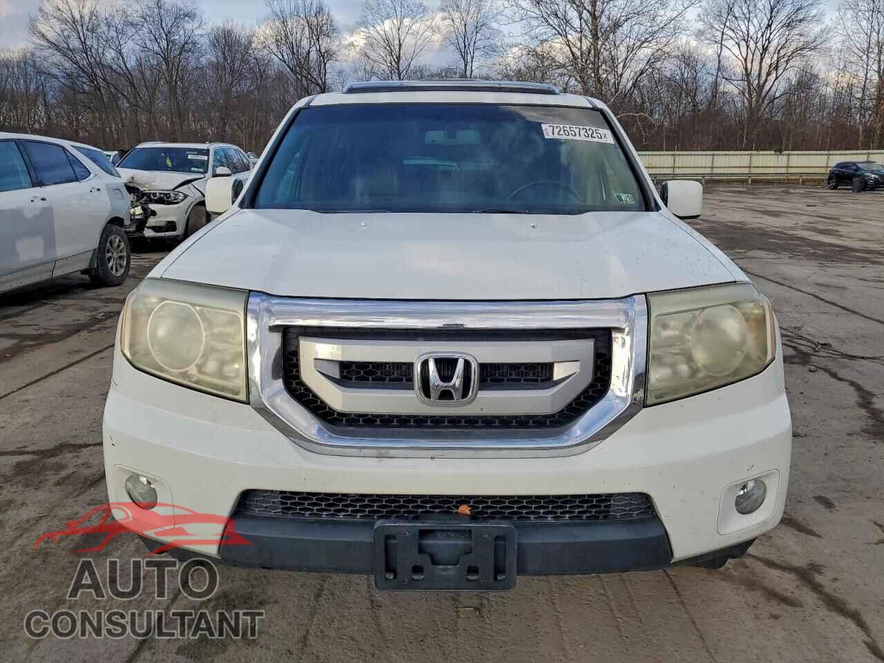 HONDA PILOT 2009 - 5FNYF48619B028504