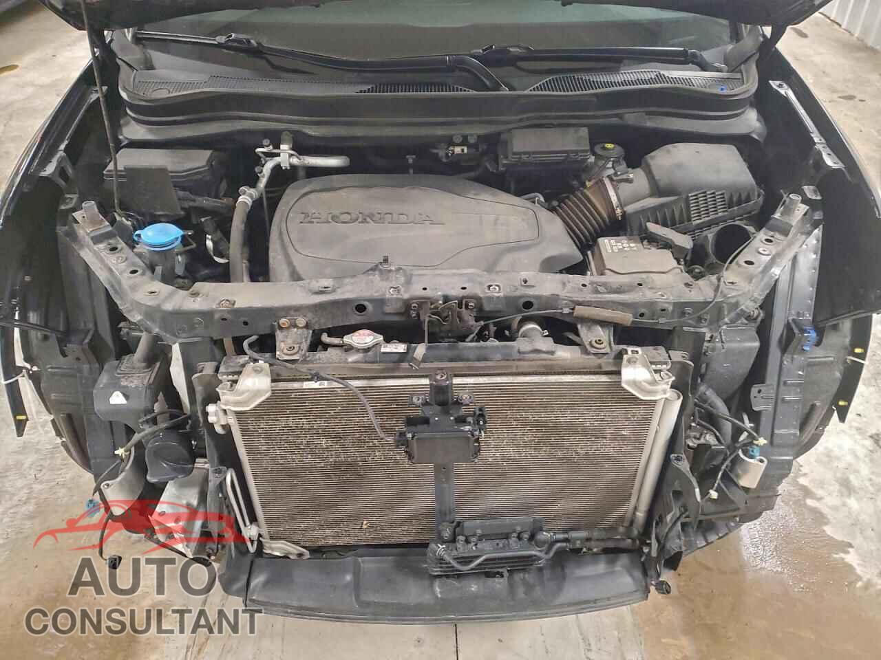 HONDA RIDGELINE 2020 - 5FPYK3F87LB018066