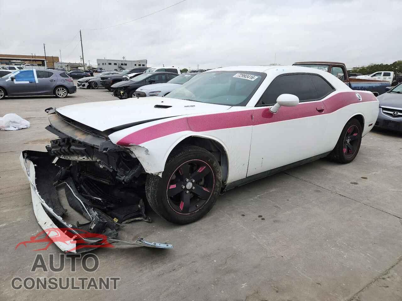 DODGE CHALLENGER 2013 - 2C3CDYBT9DH562878