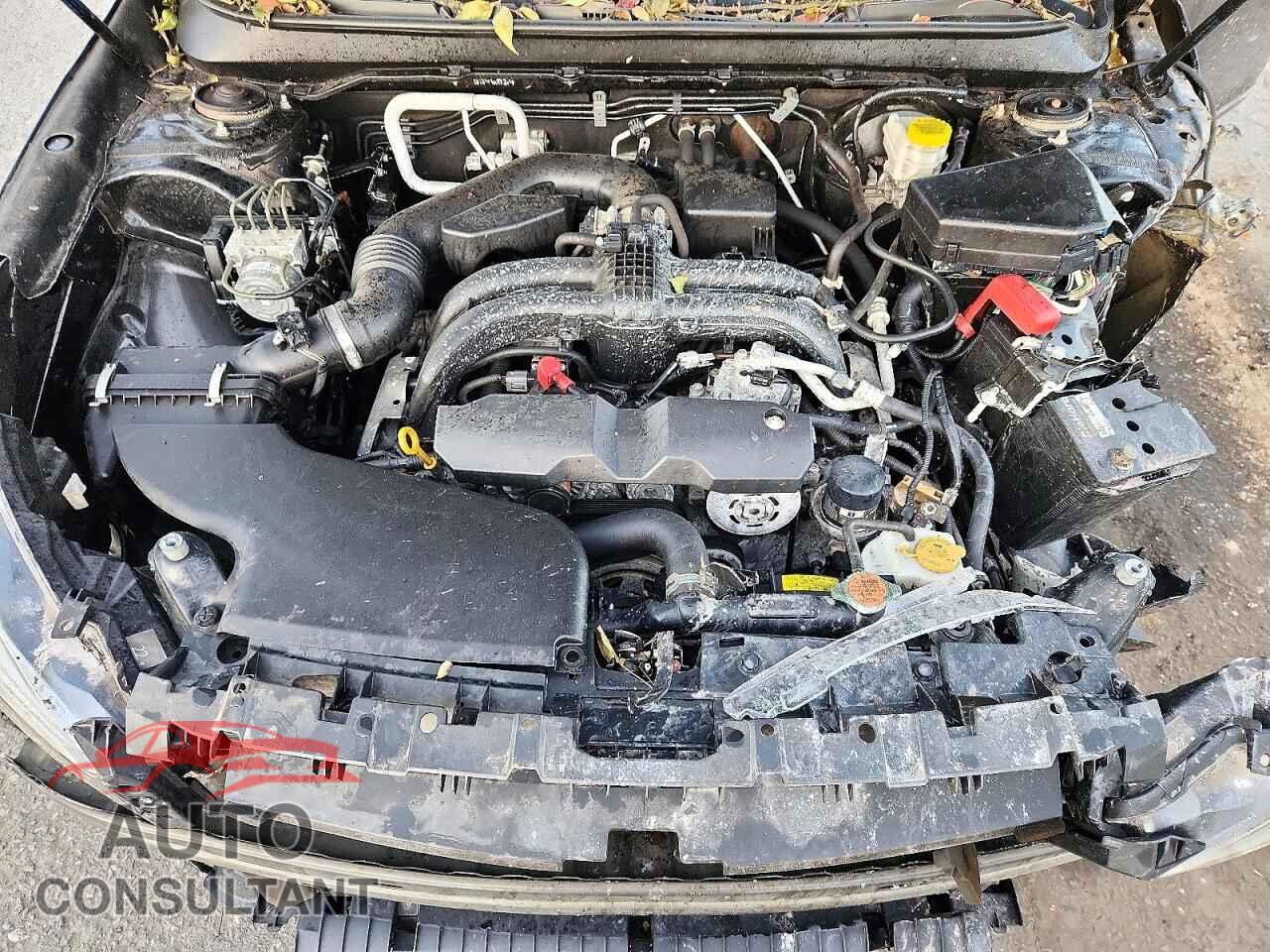 SUBARU OUTBACK 2019 - 4S4BSAFC5K3250356