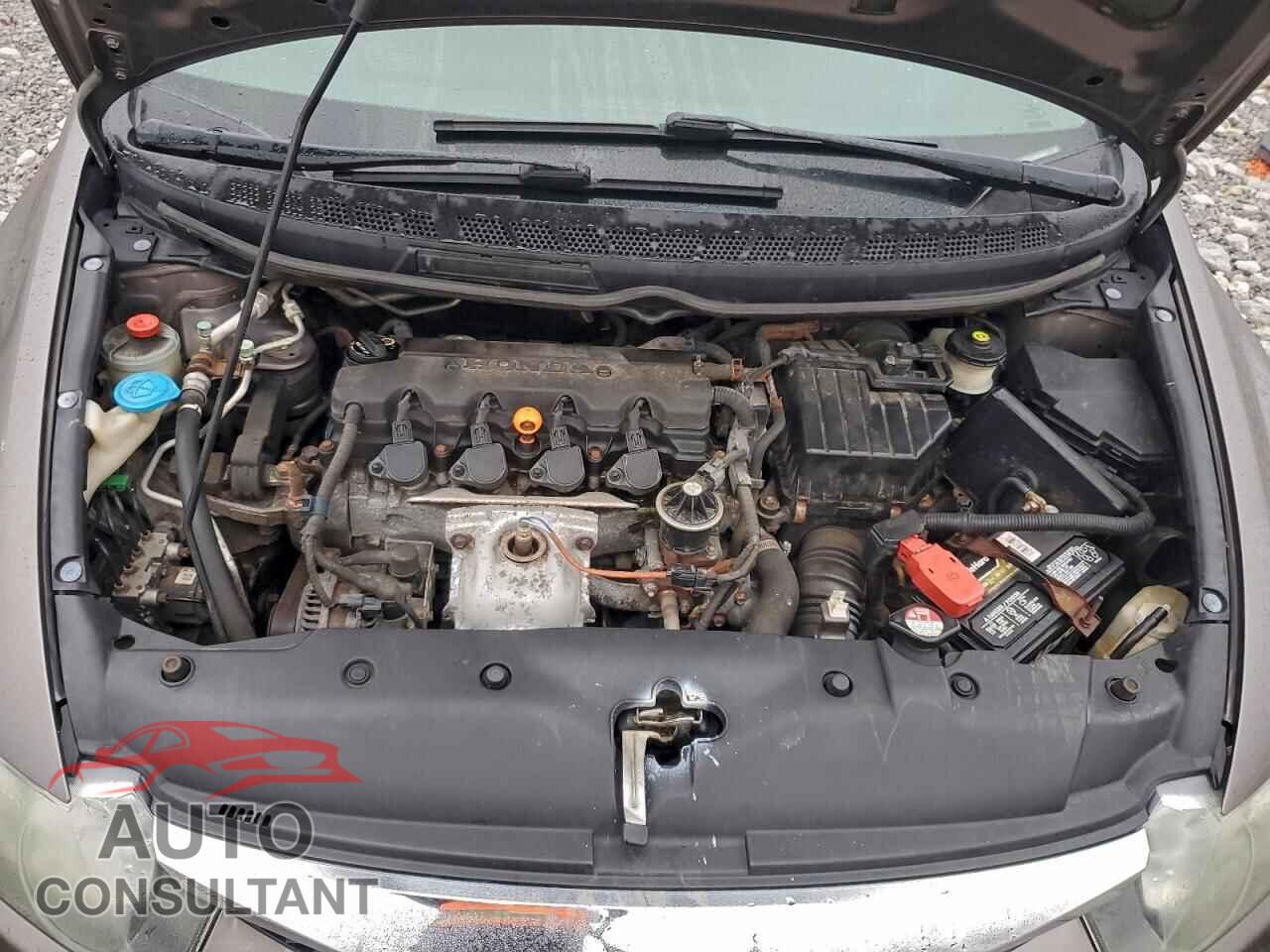 HONDA CIVIC 2011 - 19XFA1F53BE016851