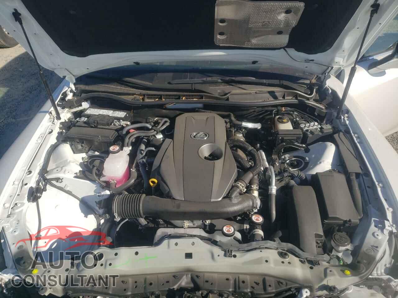 LEXUS IS 2023 - JTHCA1D22P5126951