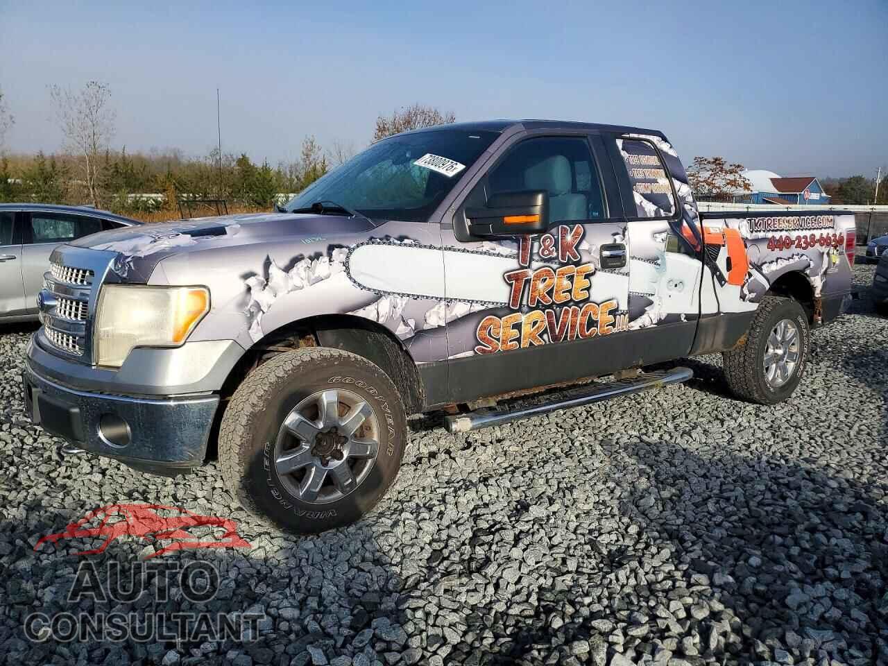 FORD F150 2013 - 1FTFX1EF5DFB33557