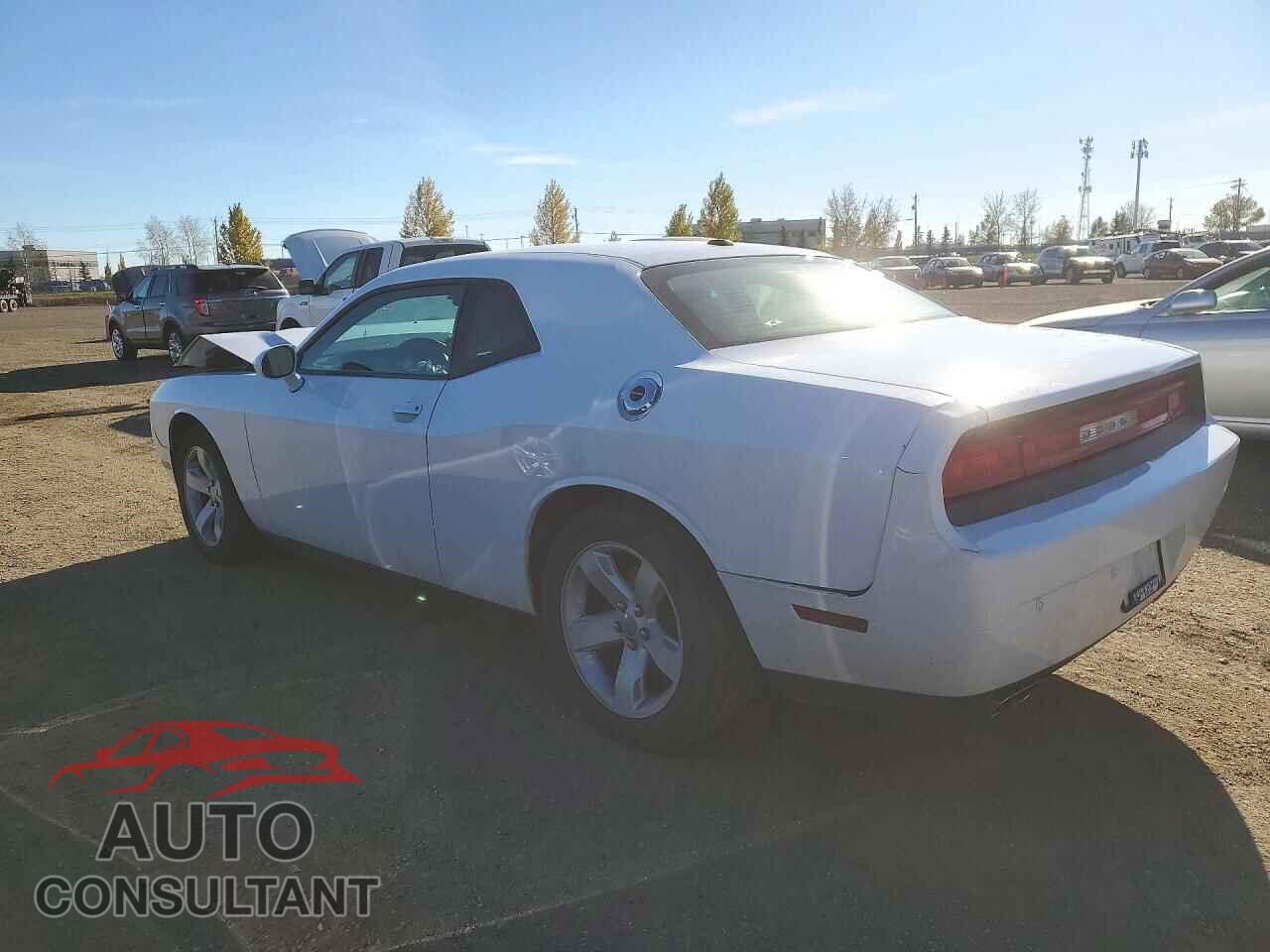 DODGE CHALLENGER 2014 - 2C3CDYAGXEH172717