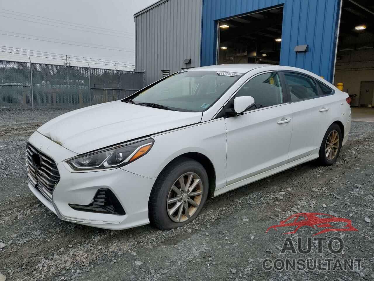 HYUNDAI SONATA 2018 - 5NPE24AF5JH711384