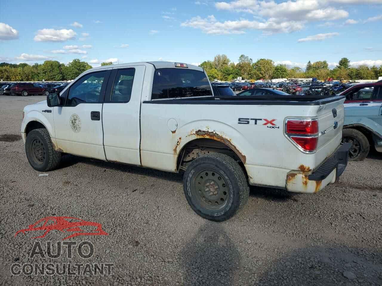 FORD F-150 2013 - 1FTFX1EF3DFC24097
