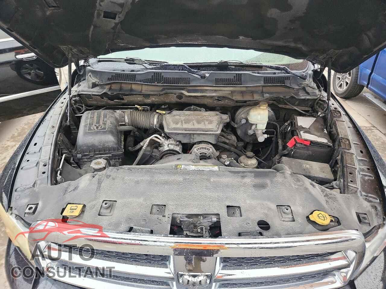 DODGE RAM 1500 2009 - 1D3HB13P29S719609