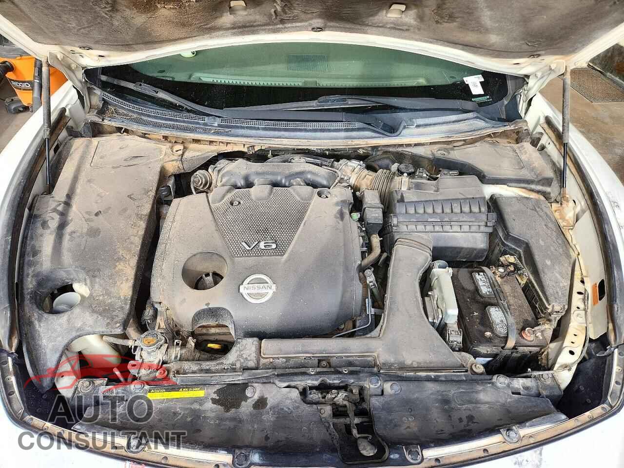 NISSAN MAXIMA 2009 - 1N4AA51E29C845376