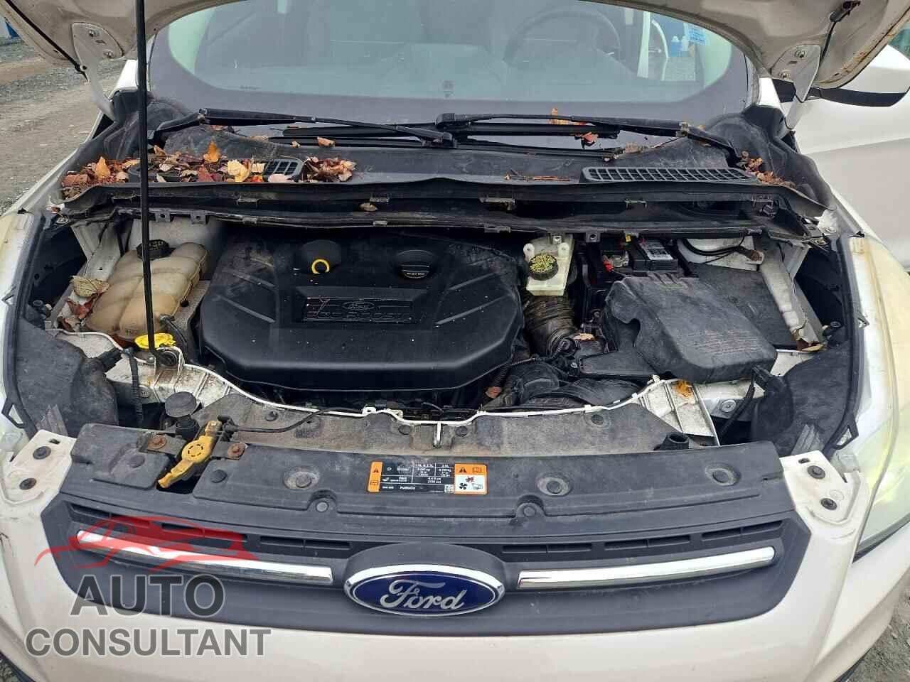 FORD ESCAPE 2014 - 1FMCU9G94EUB10538
