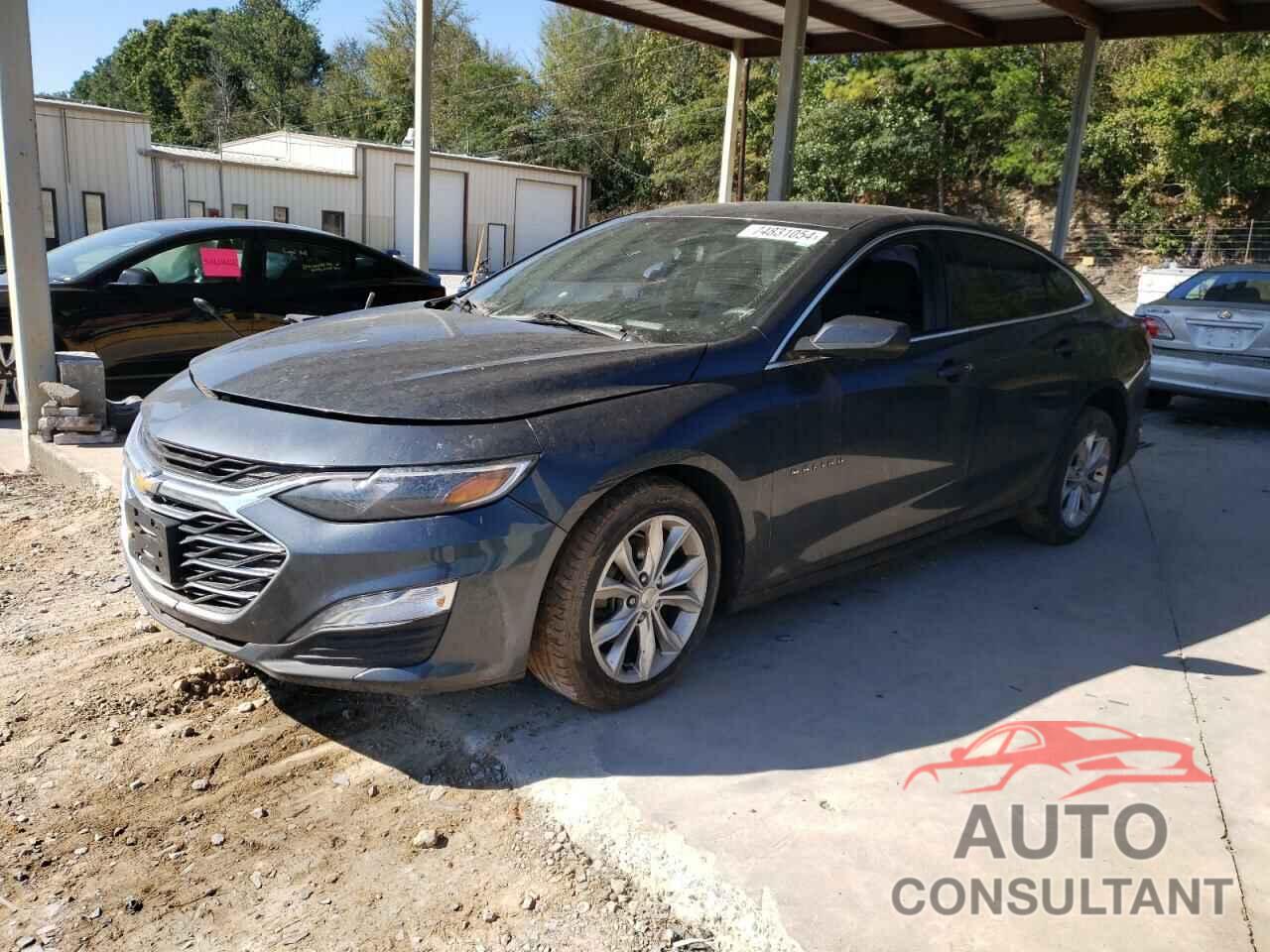 CHEVROLET MALIBU 2019 - 1G1ZD5ST4KF106976