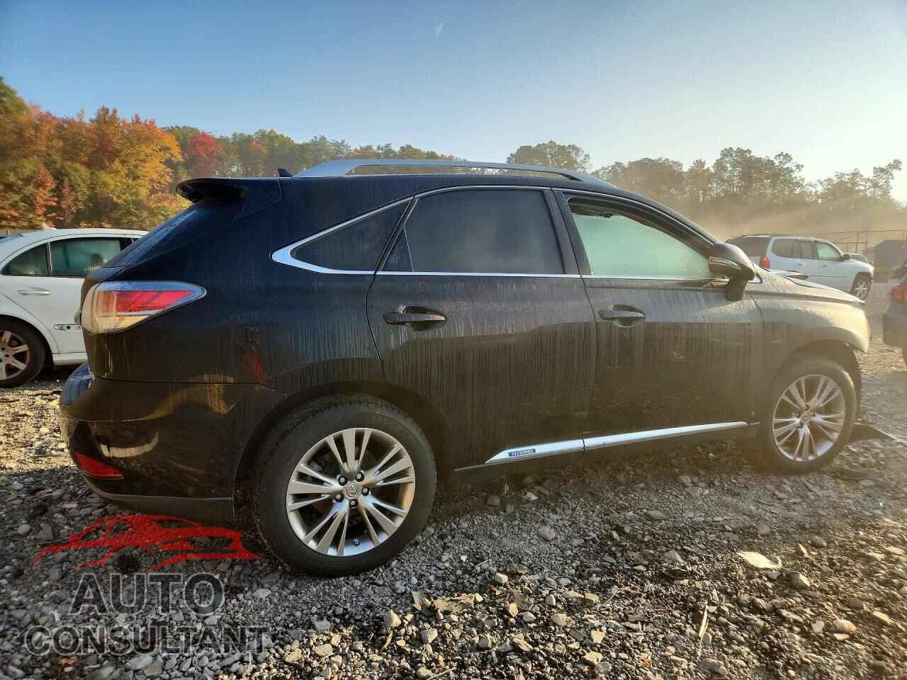 LEXUS RX450 2013 - JTJBC1BA0D2437287