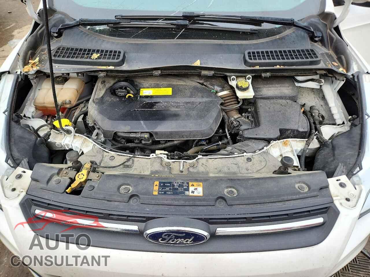 FORD ESCAPE 2015 - 1FMCU9GX5FUB37280