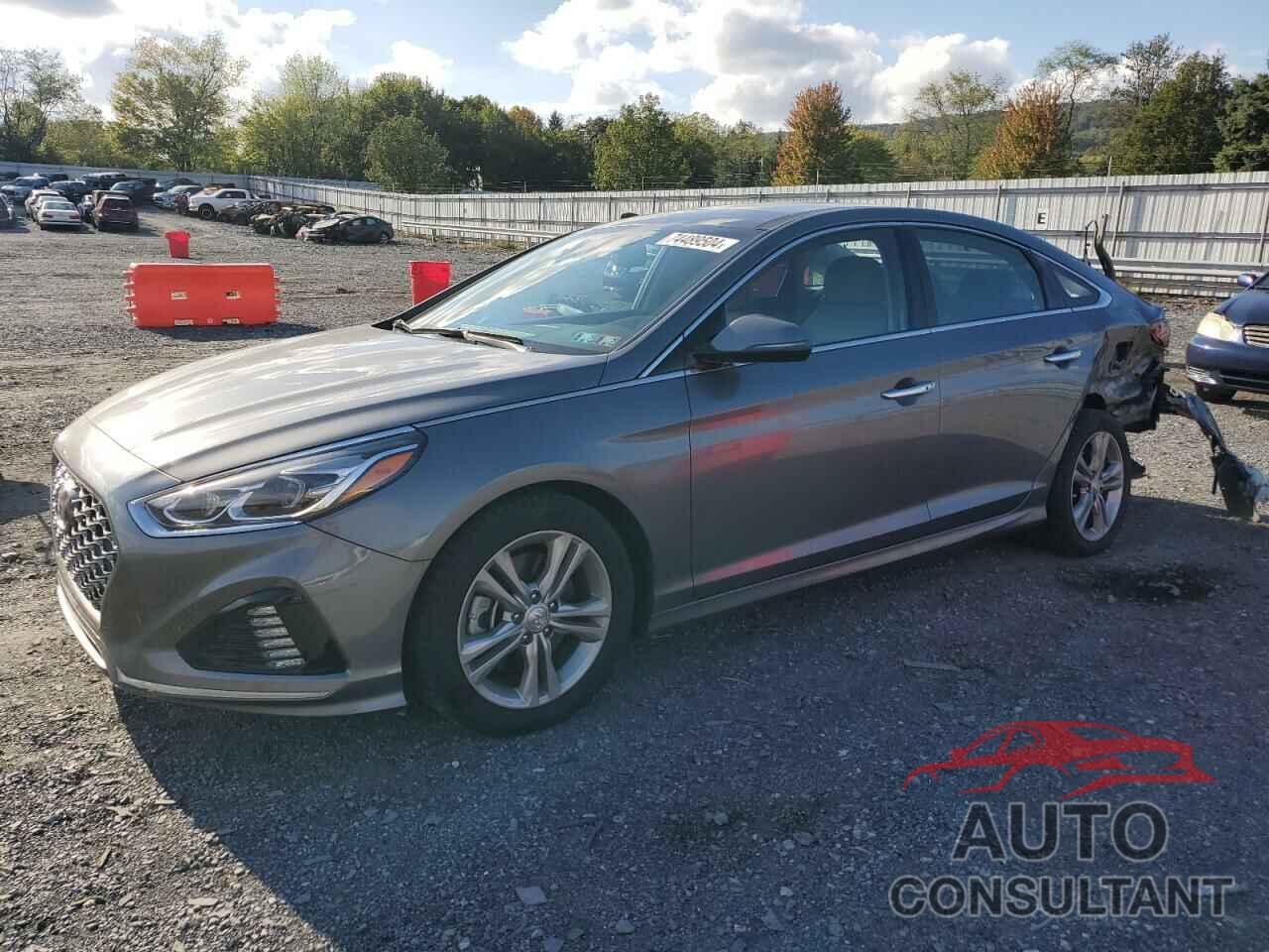 HYUNDAI SONATA 2019 - 5NPE34AF9KH726940