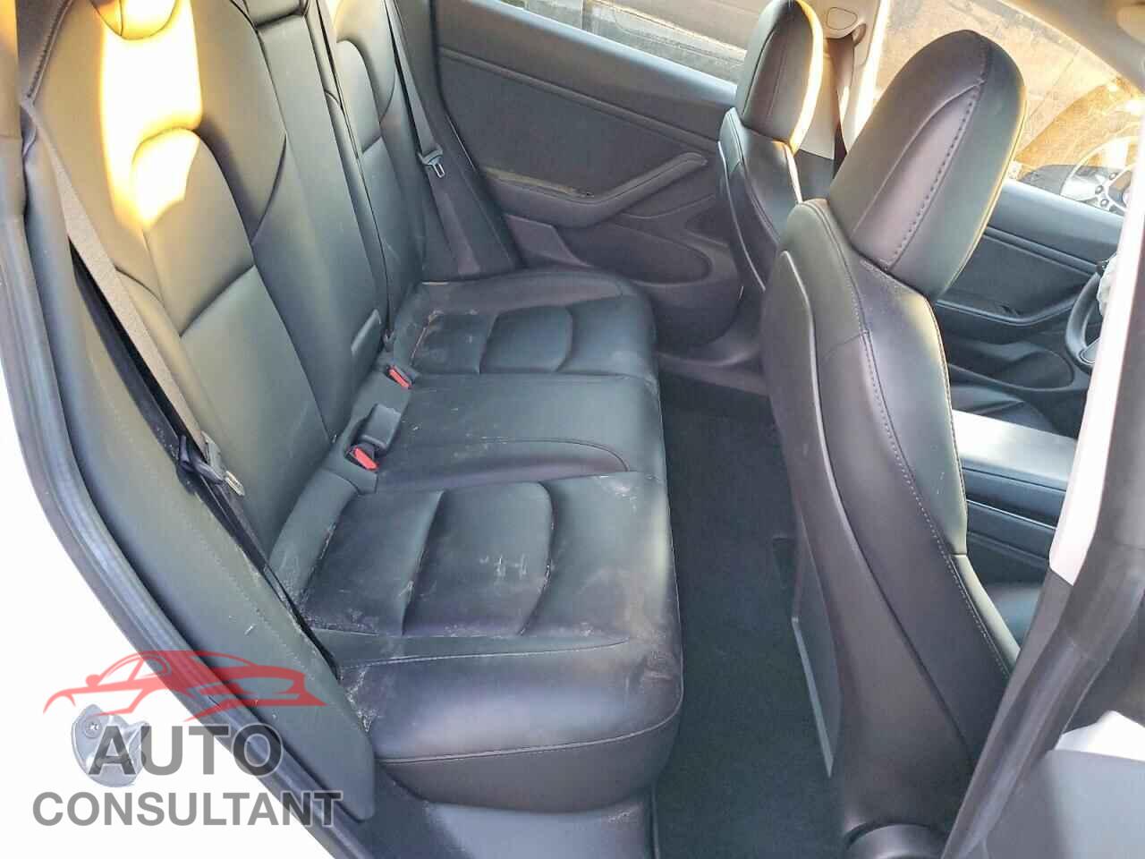 TESLA MODEL 3 2019 - 5YJ3E1EB8KF510647