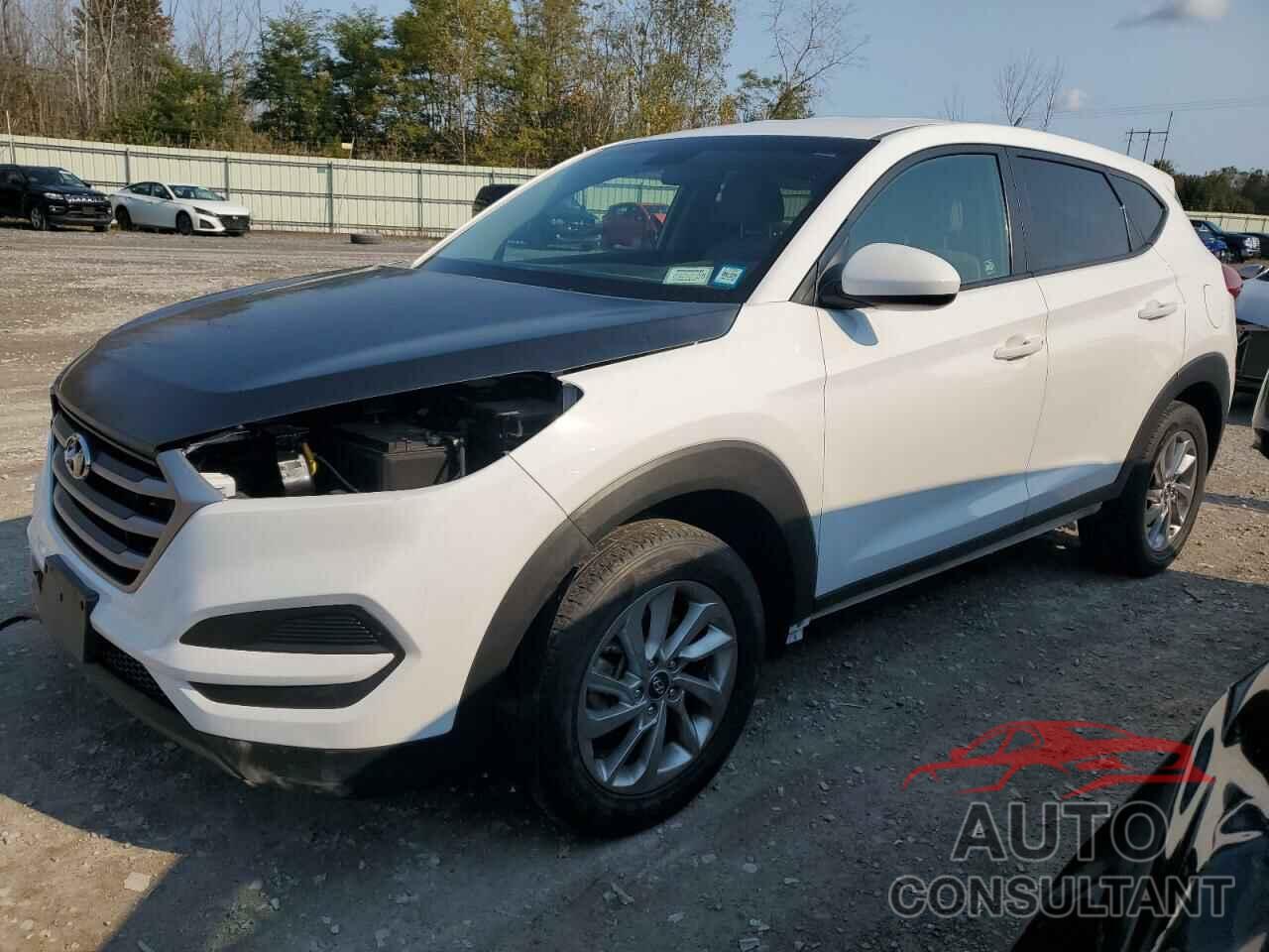 HYUNDAI TUCSON 2018 - KM8J2CA43JU644213