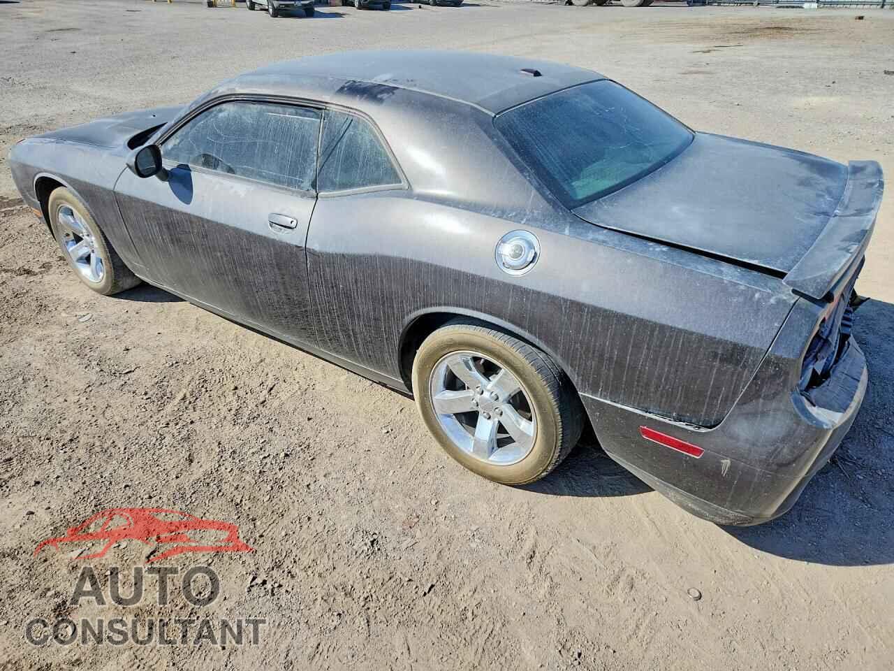 DODGE CHALLENGER 2014 - 2C3CDYAG0EH223271