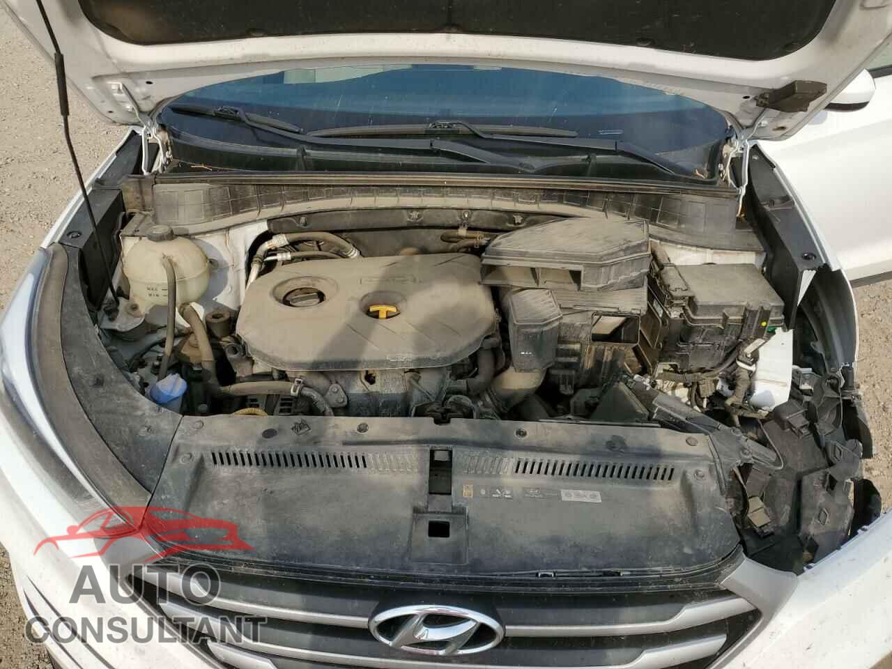 HYUNDAI TUCSON 2017 - KM8J3CA41HU388564