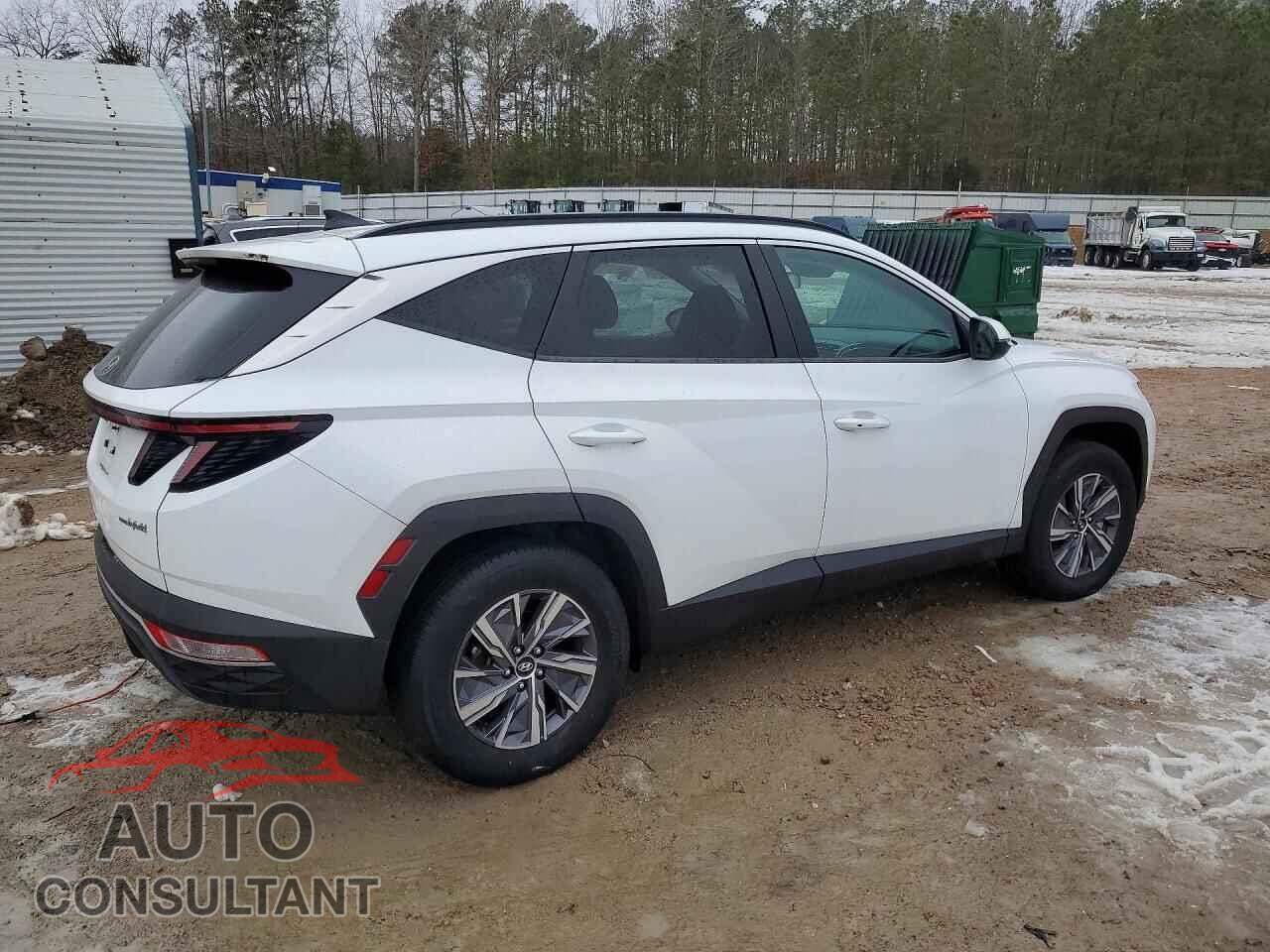 HYUNDAI TUCSON 2022 - KM8JBCA16NU045706