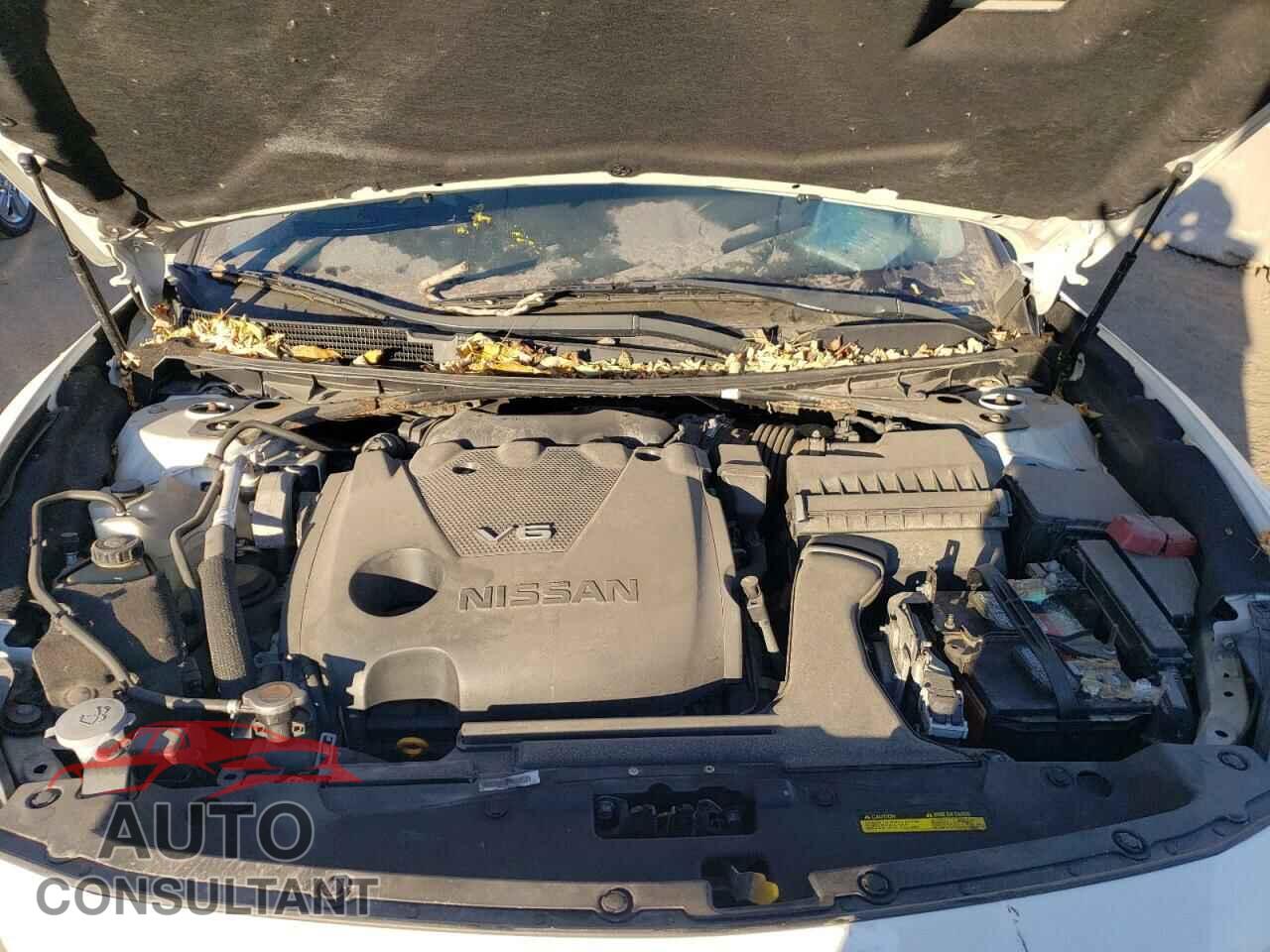 NISSAN MAXIMA 2017 - 1N4AA6APXHC450058