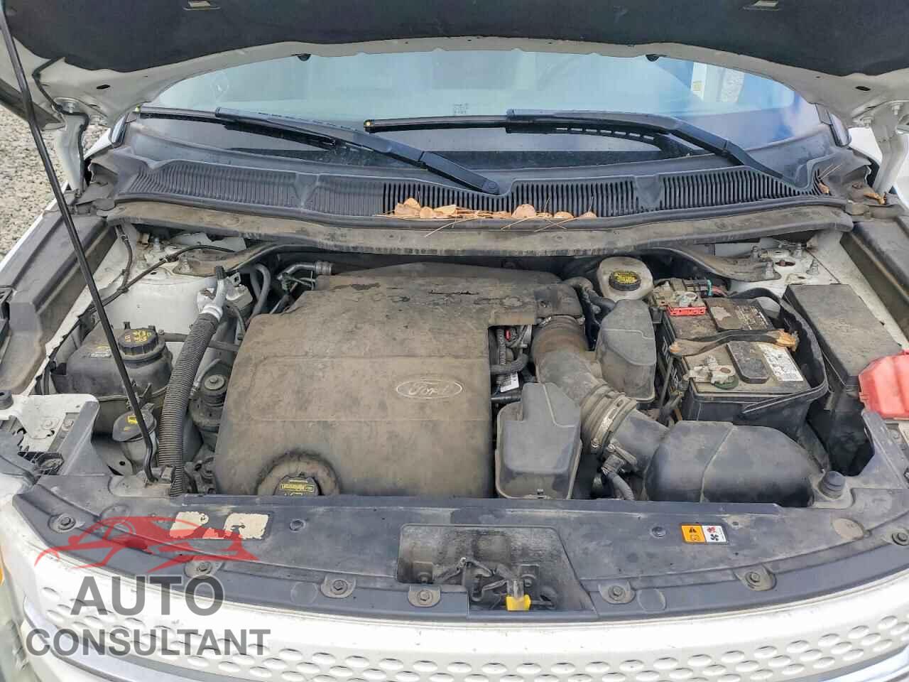 FORD EXPLORER 2011 - 1FMHK8F83BGA11508