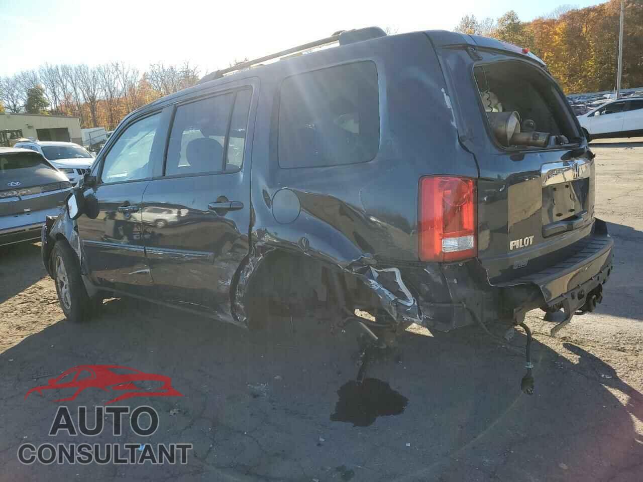 HONDA PILOT 2011 - 5FNYF4H40BB103083