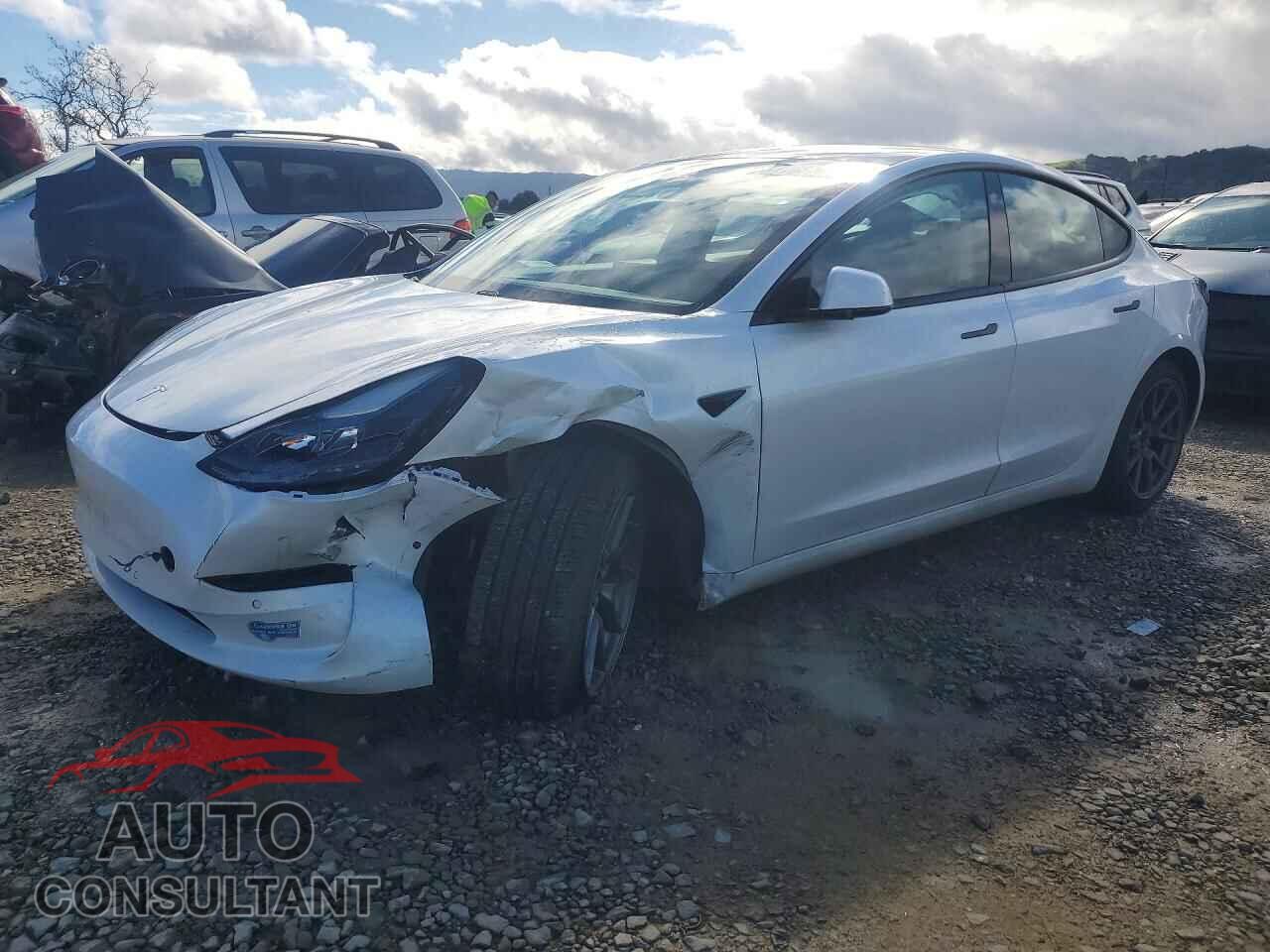TESLA MODEL 3 2021 - 5YJ3E1EA2MF871950