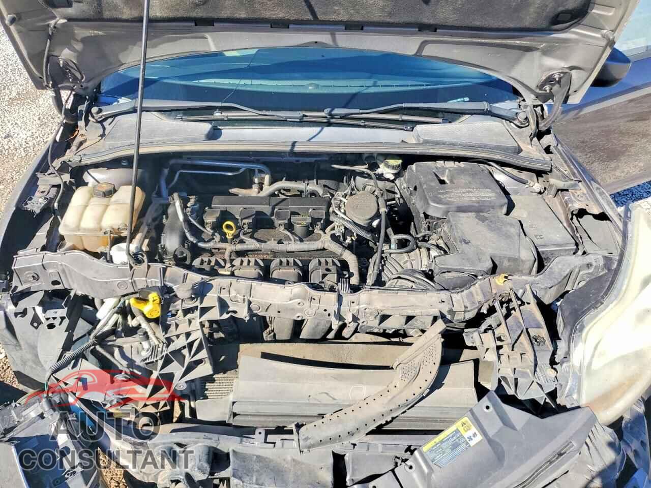 FORD FOCUS 2012 - 1FAHP3F2XCL320718