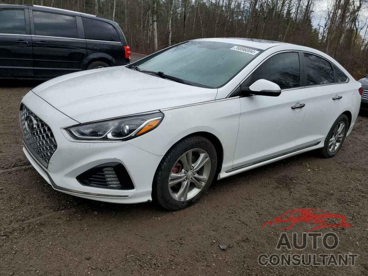 HYUNDAI SONATA 2019 - 5NPE34AF6KH756719