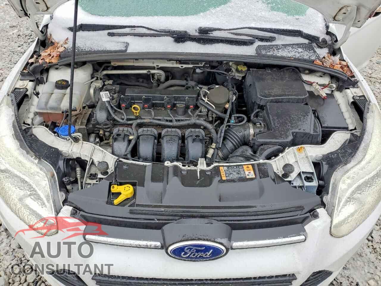FORD FOCUS 2014 - 1FADP3F22EL418546