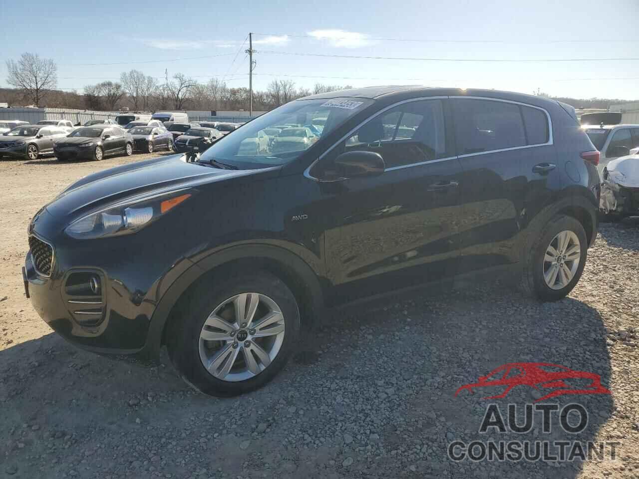 KIA SPORTAGE 2017 - KNDPMCAC9H7236758