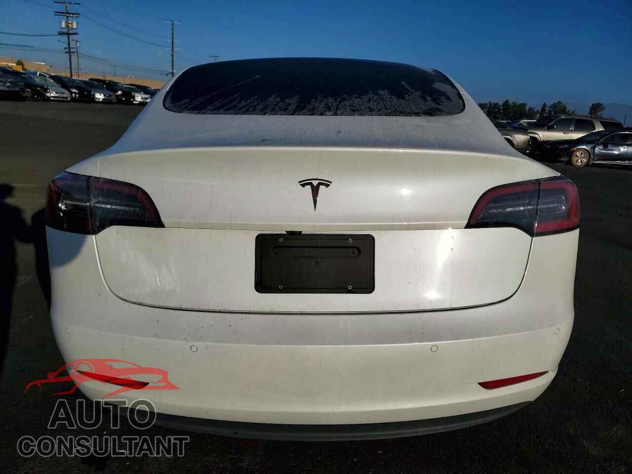 TESLA MODEL 3 2020 - 5YJ3E1EA0LF808568