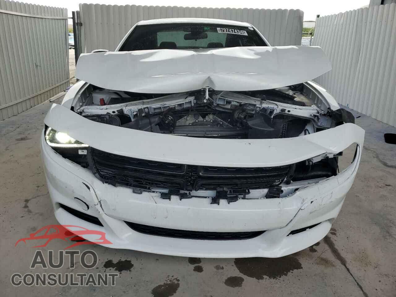 DODGE CHARGER 2023 - 2C3CDXBG1PH551701