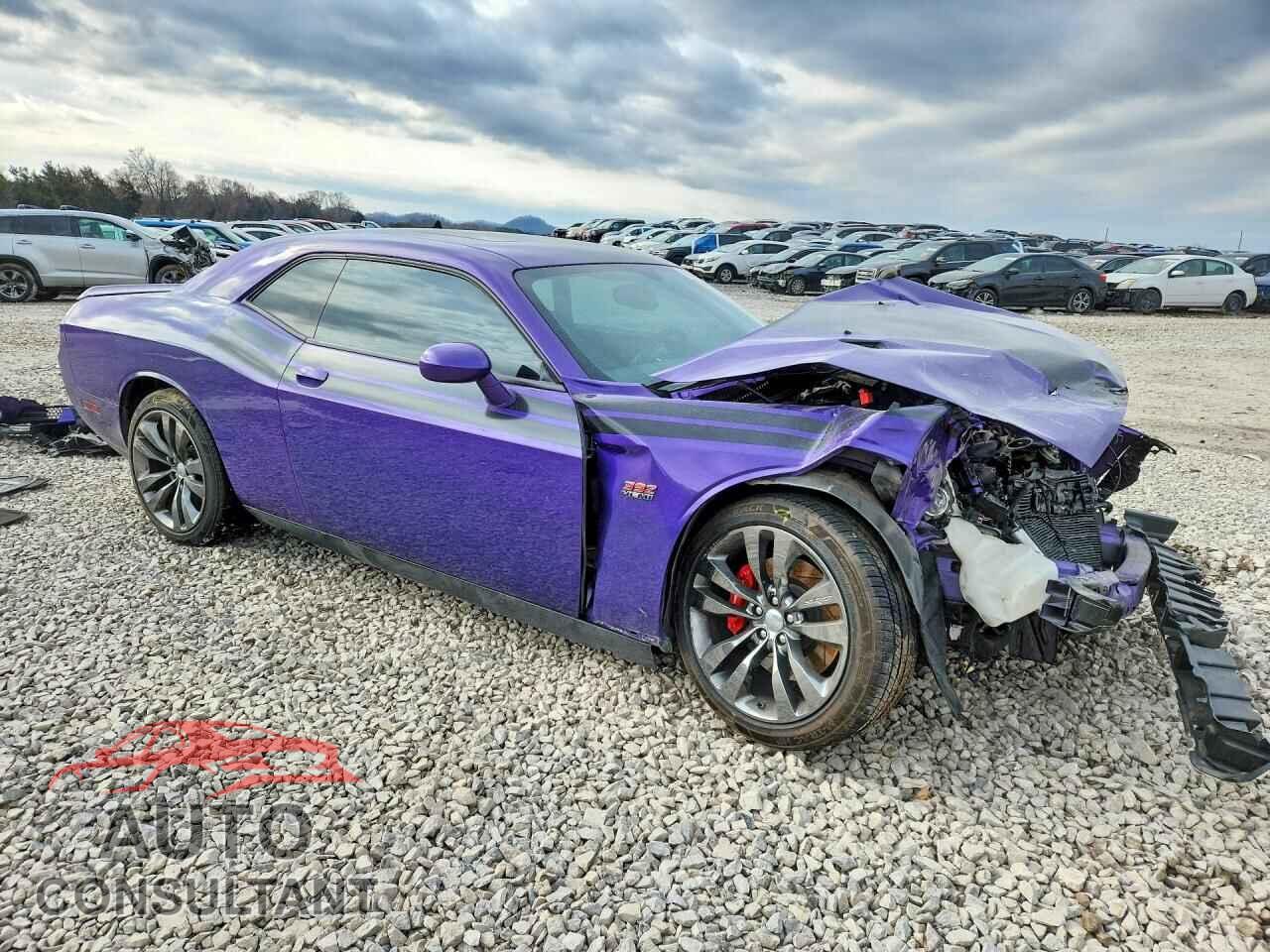 DODGE CHALLENGER 2013 - 2C3CDYCJ2DH671812