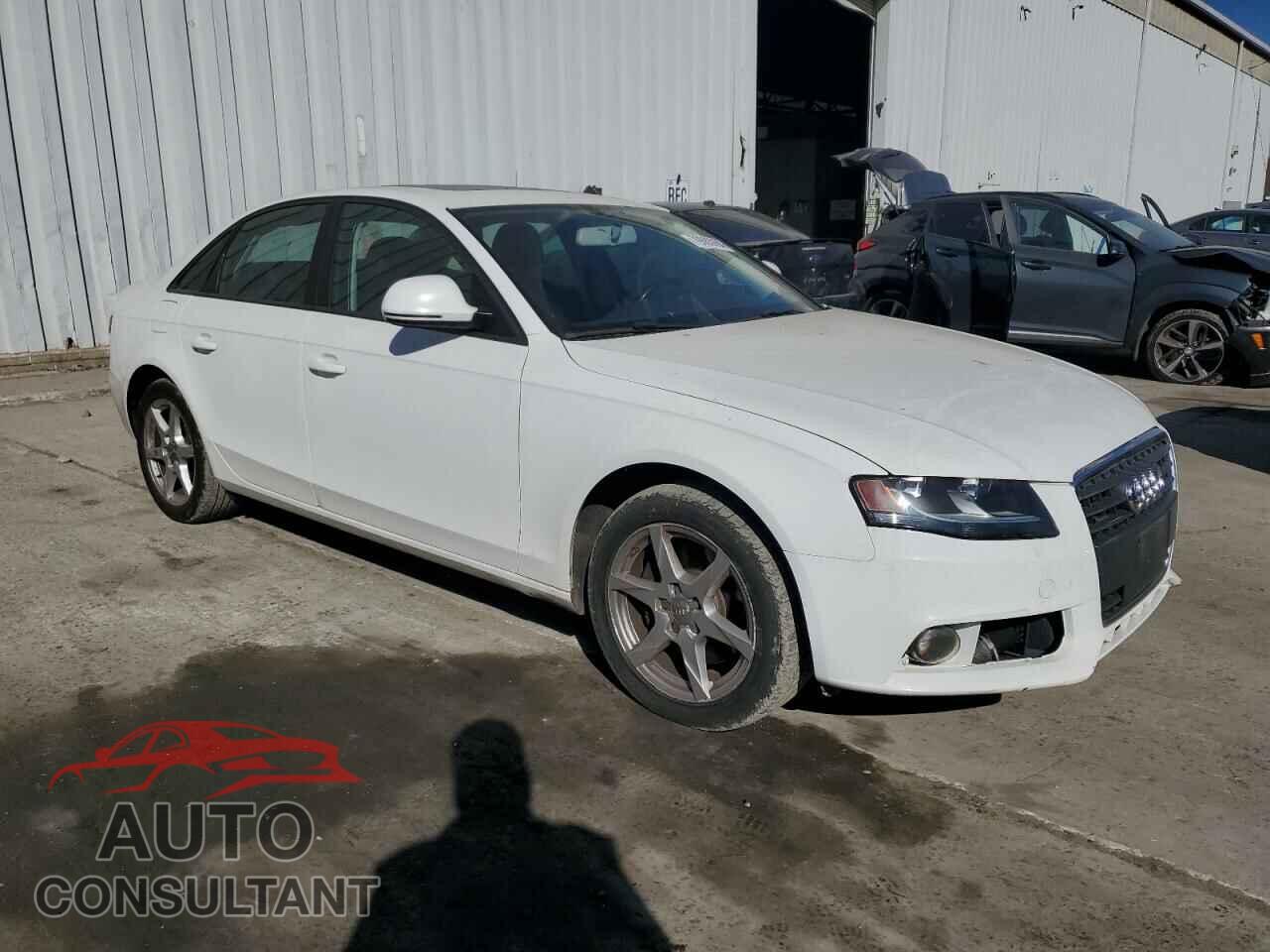 AUDI A4 2009 - WAULF78K59A136493