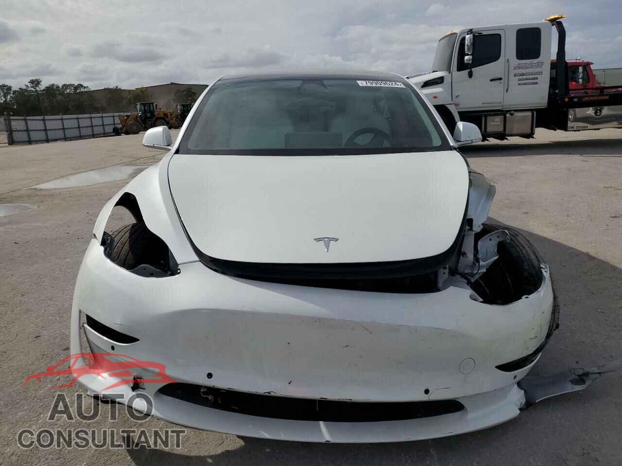 TESLA MODEL 3 2019 - 5YJ3E1EB1KF494727