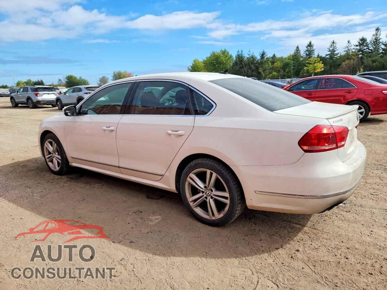 VOLKSWAGEN PASSAT 2014 - 1VWBN7A30EC120475
